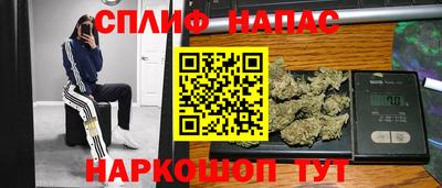 тгк Новокубанск